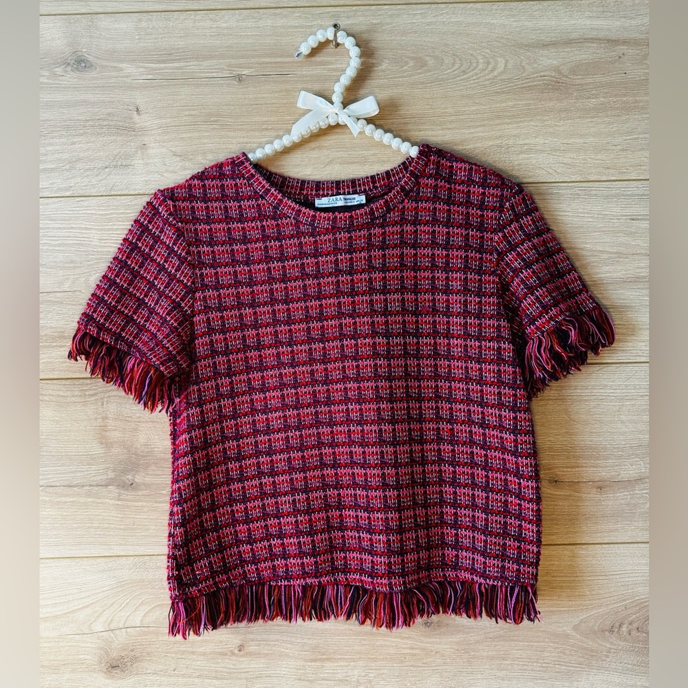 Zara Pink Fringe Short Sleeve Top